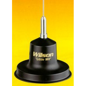 Wilson Little Wil